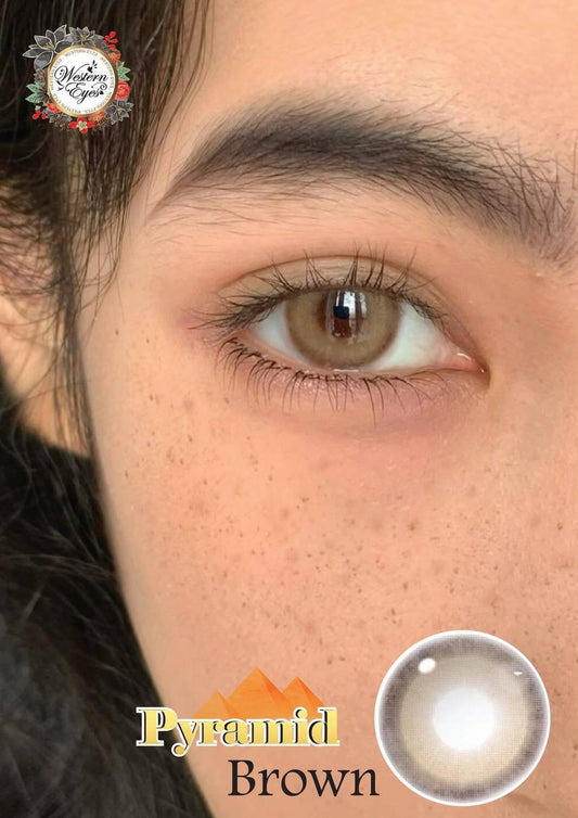Pyramid Brown Western Eyes